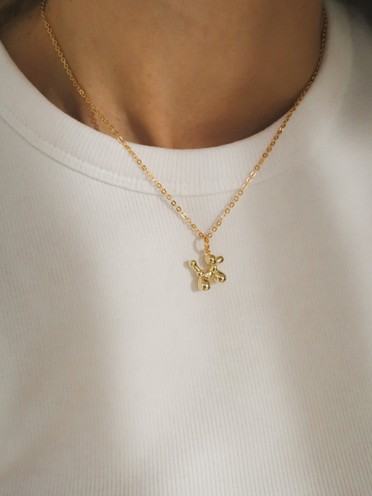 Hondje charm