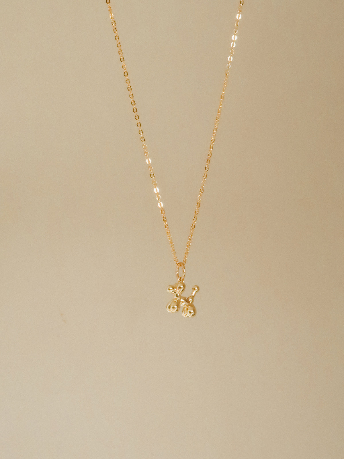 Hondje charm