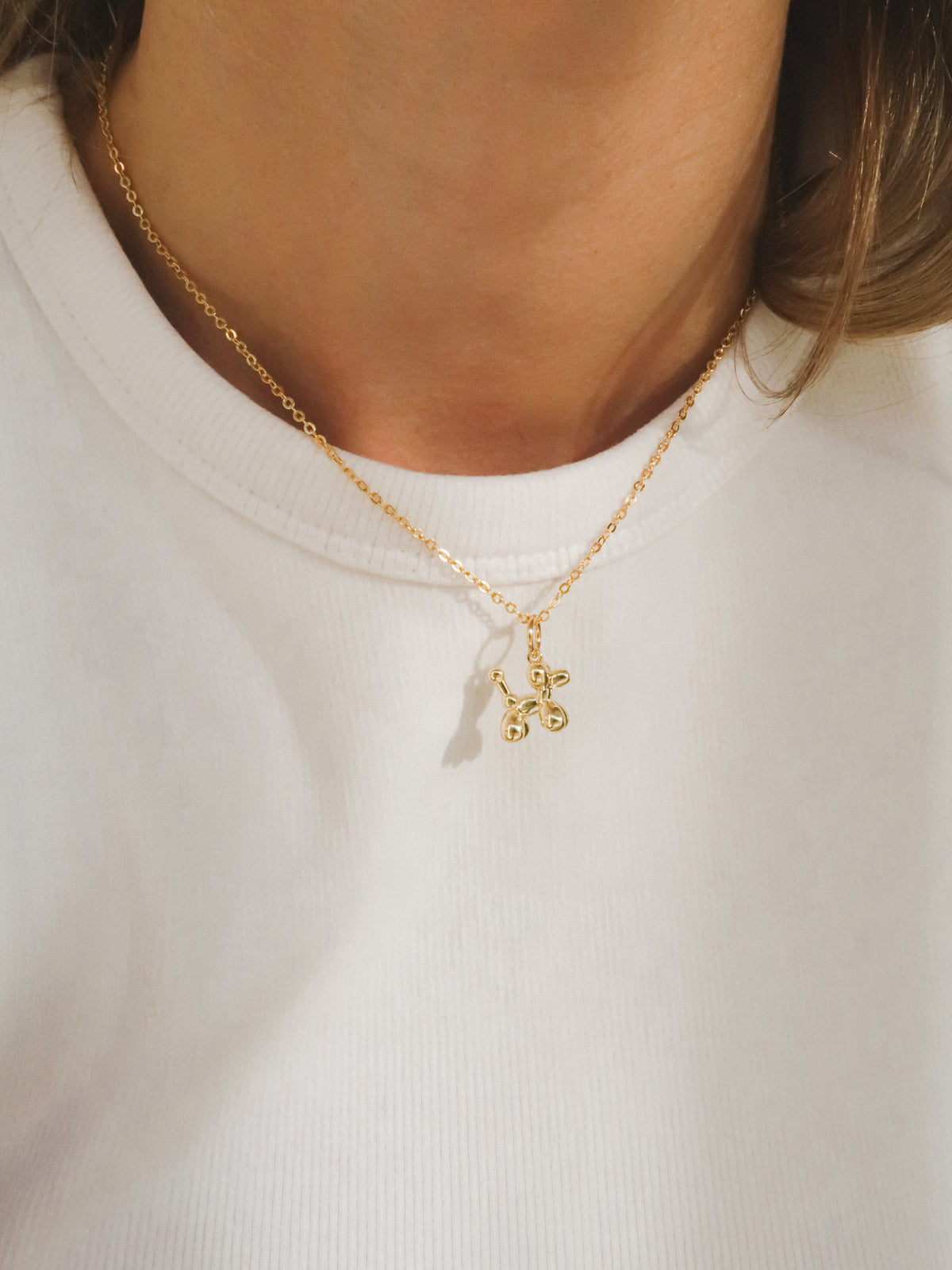 Hondje charm