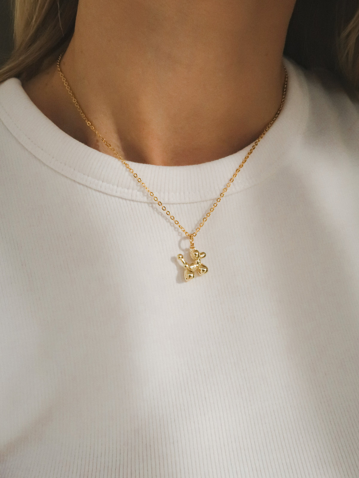 Hondje charm